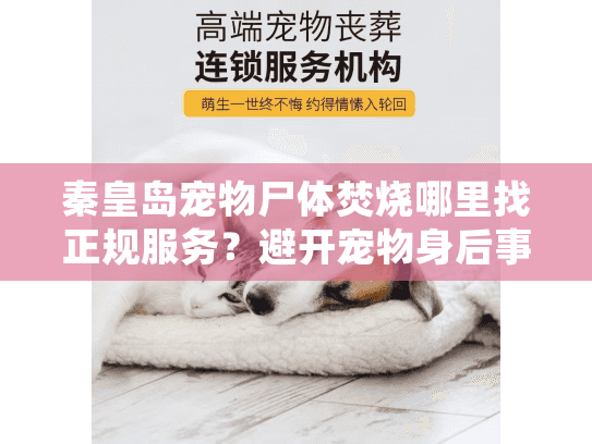 秦皇岛宠物尸体焚烧哪里找正规服务？避开宠物身后事处理的常见坑