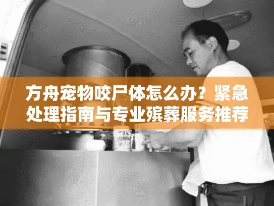 方舟宠物咬尸体怎么办？紧急处理指南与专业殡葬服务推荐