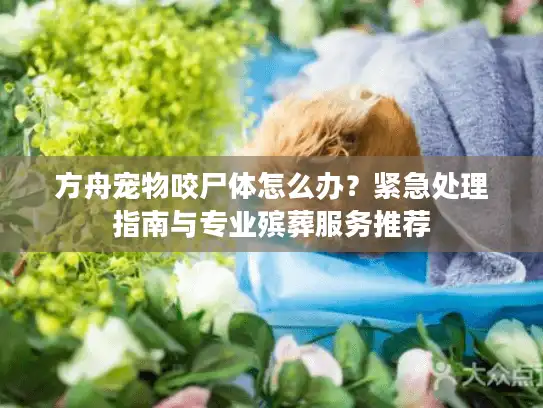 方舟宠物咬尸体怎么办？紧急处理指南与专业殡葬服务推荐