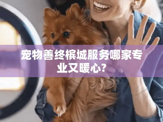 宠物善终槟城服务哪家专业又暖心? 宠物善终槟城服务哪家专业又暖心?