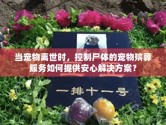 当宠物离世时，控制尸体的宠物殡葬服务如何提供安心解决方案？