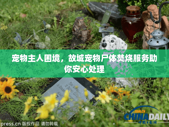 宠物主人困境，故城宠物尸体焚烧服务助你安心处理