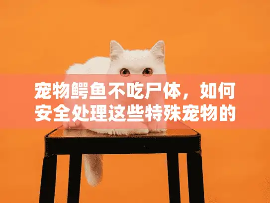 宠物鳄鱼不吃尸体,如何安全处理这些特殊宠物的后事? 宠物鳄鱼不吃尸体,如何安全处理这些特殊宠物的后事?