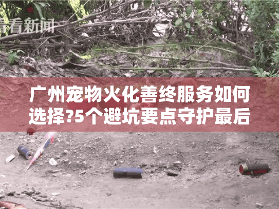 广州宠物火化善终服务如何选择?5个避坑要点守护最后的告别