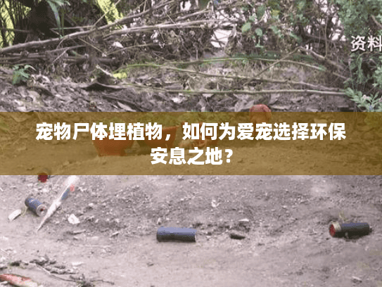 宠物尸体埋植物，如何为爱宠选择环保安息之地？