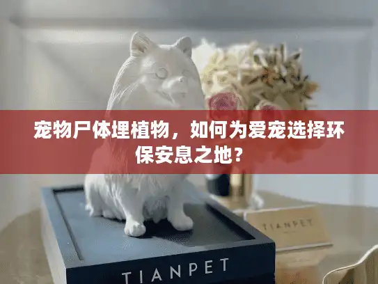 宠物尸体埋植物，如何为爱宠选择环保安息之地？