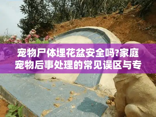 宠物尸体埋花盆安全吗?家庭宠物后事处理的常见误区与专业替代方案