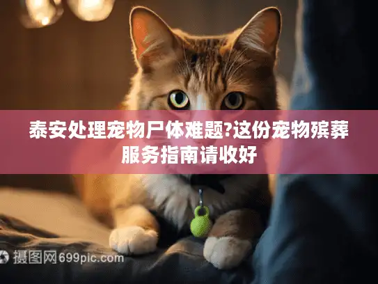 泰安处理宠物尸体难题?这份宠物殡葬服务指南请收好
