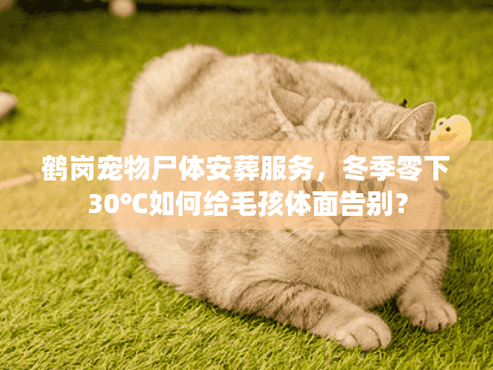 鹤岗宠物尸体安葬服务，冬季零下30℃如何给毛孩体面告别？