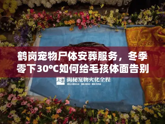 鹤岗宠物尸体安葬服务，冬季零下30℃如何给毛孩体面告别？
