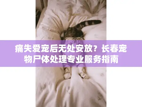 痛失爱宠后无处安放?长春宠物尸体处理专业服务指南 痛失爱宠后无处安放?长春宠物尸体处理专业服务指南
