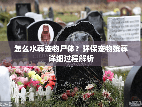 怎么水葬宠物尸体？环保宠物殡葬详细过程解析