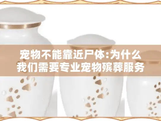 宠物不能靠近尸体:为什么我们需要专业宠物殡葬服务?