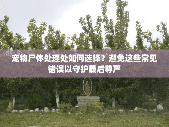 宠物尸体处理处如何选择?避免这些常见错误以守护最后尊严 宠物尸体处理处如何选择?避免这些常见错误以守护最后尊严