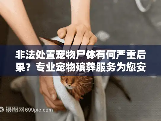 非法处置宠物尸体有何严重后果？专业宠物殡葬服务为您安心解忧