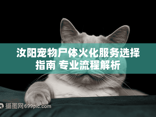 汝阳宠物尸体火化服务选择指南 专业流程解析