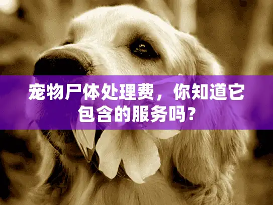 宠物尸体处理费,你知道它包含的服务吗? 宠物尸体处理费,你知道它包含的服务吗?