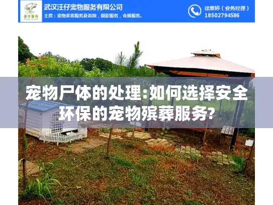 宠物尸体的处理:如何选择安全环保的宠物殡葬服务?