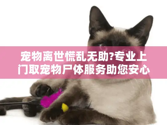 宠物离世慌乱无助?专业上门取宠物尸体服务助您安心告别