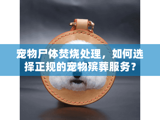 宠物尸体焚烧处理,如何选择正规的宠物殡葬服务? 宠物尸体焚烧处理,如何选择正规的宠物殡葬服务?