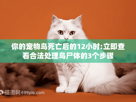 你的宠物鸟死亡后的12小时:立即查看合法处理鸟尸体的3个步骤