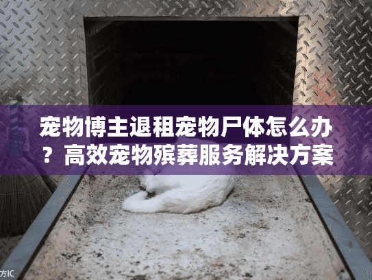 宠物博主退租宠物尸体怎么办？高效宠物殡葬服务解决方案揭晓