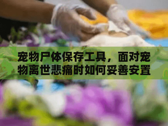宠物尸体保存工具,面对宠物离世悲痛时如何妥善安置爱宠遗体? 宠物尸体保存工具,面对宠物离世悲痛时如何妥善安置爱宠遗体?