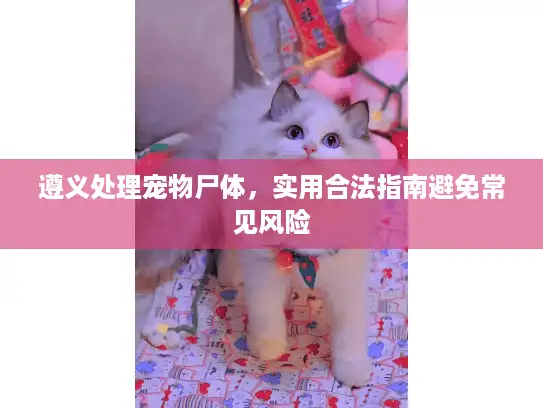 遵义处理宠物尸体,实用合法指南避免常见风险 遵义处理宠物尸体,实用合法指南避免常见风险