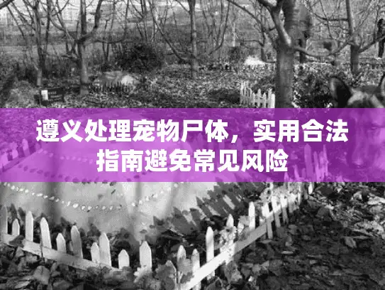 遵义处理宠物尸体,实用合法指南避免常见风险 遵义处理宠物尸体,实用合法指南避免常见风险