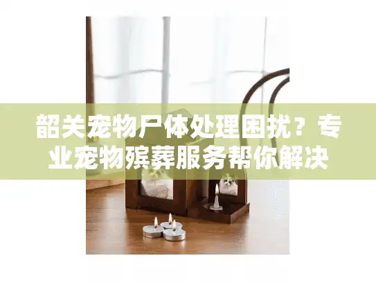 韶关宠物尸体处理困扰?专业宠物殡葬服务帮你解决烦恼 韶关宠物尸体处理困扰?专业宠物殡葬服务帮你解决烦恼