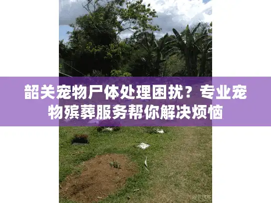 韶关宠物尸体处理困扰?专业宠物殡葬服务帮你解决烦恼 韶关宠物尸体处理困扰?专业宠物殡葬服务帮你解决烦恼