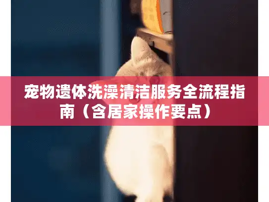 宠物遗体洗澡清洁服务全流程指南（含居家操作要点）