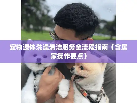 宠物遗体洗澡清洁服务全流程指南（含居家操作要点）