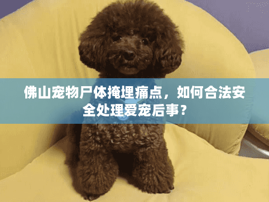 佛山宠物尸体掩埋痛点，如何合法安全处理爱宠后事？