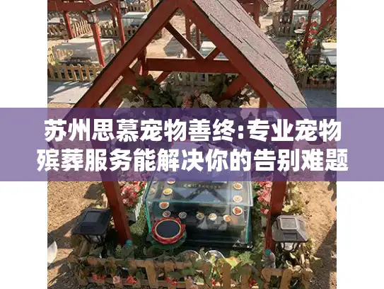 苏州思慕宠物善终:专业宠物殡葬服务能解决你的告别难题吗？