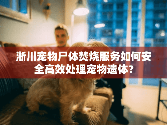 淅川宠物尸体焚烧服务如何安全高效处理宠物遗体？