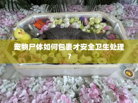 宠物尸体如何包裹才安全卫生处理？