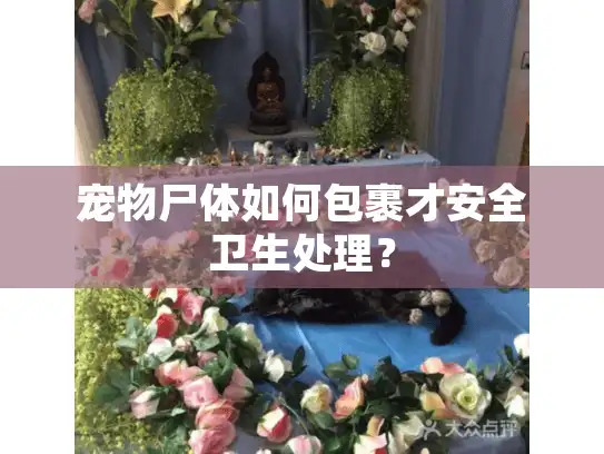 宠物尸体如何包裹才安全卫生处理？