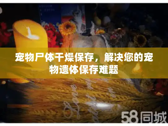 宠物尸体干燥保存,解决您的宠物遗体保存难题 宠物尸体干燥保存,解决您的宠物遗体保存难题
