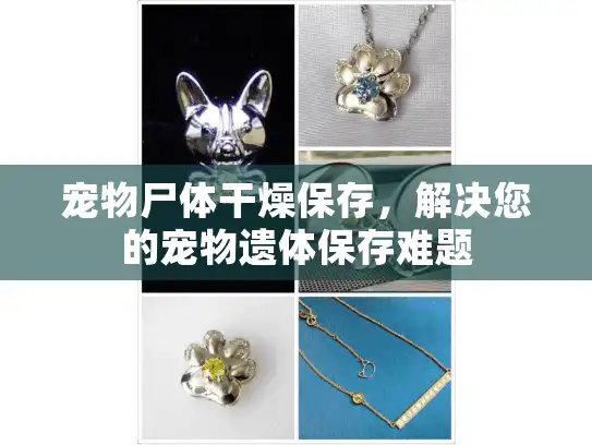 宠物尸体干燥保存,解决您的宠物遗体保存难题 宠物尸体干燥保存,解决您的宠物遗体保存难题