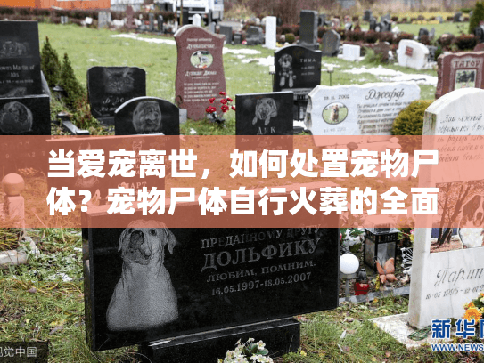 当爱宠离世，如何处置宠物尸体？宠物尸体自行火葬的全面解决方案