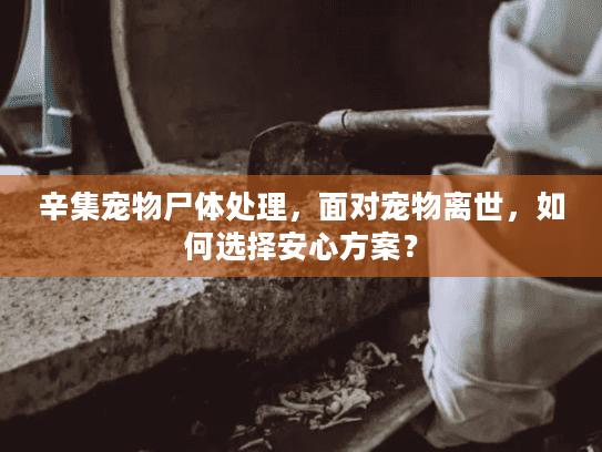 辛集宠物尸体处理，面对宠物离世，如何选择安心方案？