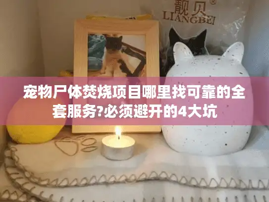 宠物尸体焚烧项目哪里找可靠的全套服务?必须避开的4大坑 宠物尸体焚烧项目哪里找可靠的全套服务?必须避开的4大坑