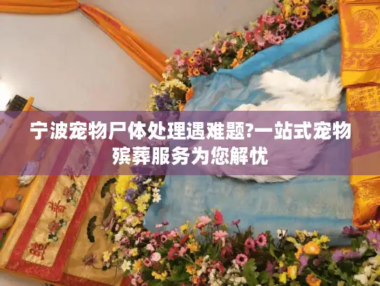 宁波宠物尸体处理遇难题?一站式宠物殡葬服务为您解忧