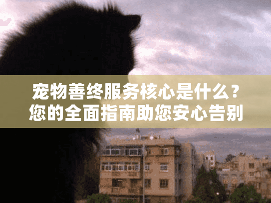 宠物善终服务核心是什么？您的全面指南助您安心告别