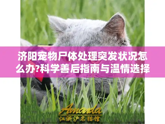 济阳宠物尸体处理突发状况怎么办?科学善后指南与温情选择