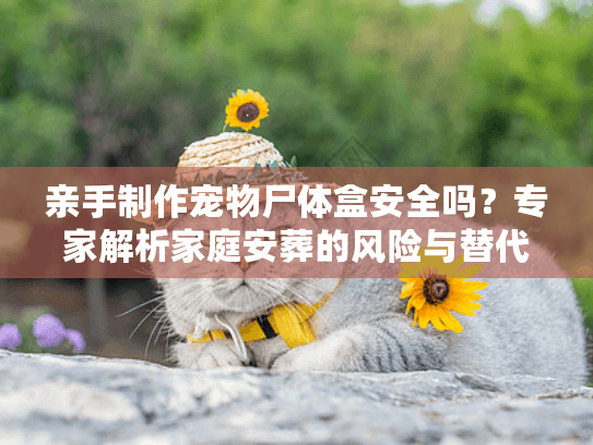 亲手制作宠物尸体盒安全吗？专家解析家庭安葬的风险与替代方案
