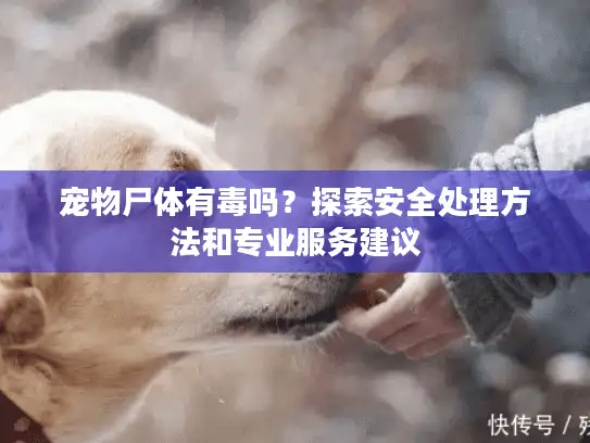 宠物尸体有毒吗？探索安全处理方法和专业服务建议