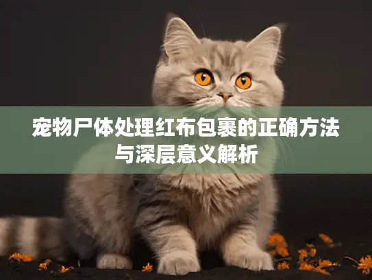 宠物尸体处理红布包裹的正确方法与深层意义解析 宠物尸体处理红布包裹的正确方法与深层意义解析