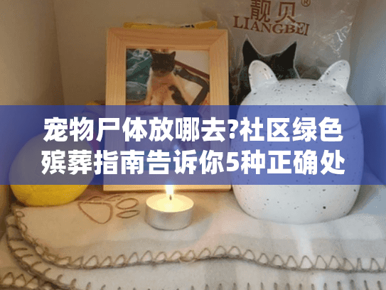 宠物尸体放哪去?社区绿色殡葬指南告诉你5种正确处理方式